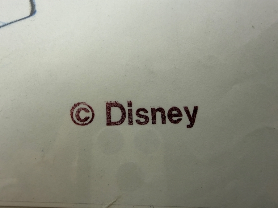 Original Walt Disney Hand Drawn Aladdin / Jasmine Concept Drawing For A T-Shirt By Disney Artist Darren Hunt From The 2nd Official Disneyana Convention In 1993 At Disneyland Purchased For $370 In 1993 15 X 11 [Photo 5]