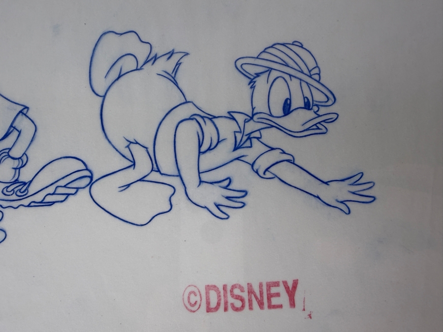 Original Walt Disney Hand Drawn Safari Donald Duck & Goofy Fashion Apparel Concept Drawing By Disney Artist Alex Maher From The 2nd Official Disneyana Convention In 1993 At Disneyland Purchased For $300 In 1993 9 X 4 [Photo 3]