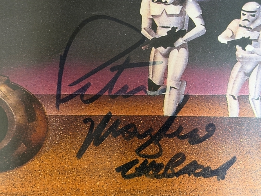 Vintage 1977 Star Wars Style D Rare Signed Poster By Carrie Fisher, George Lucas, Mark Hamill, Harrison Ford, Kenny Baker, Peter Mayhew, David Prowse, James Earl Jones, Rick Baker, Anthony Daniels And Phil Brown Framed 28.5 X 42.5 [Photo 17]