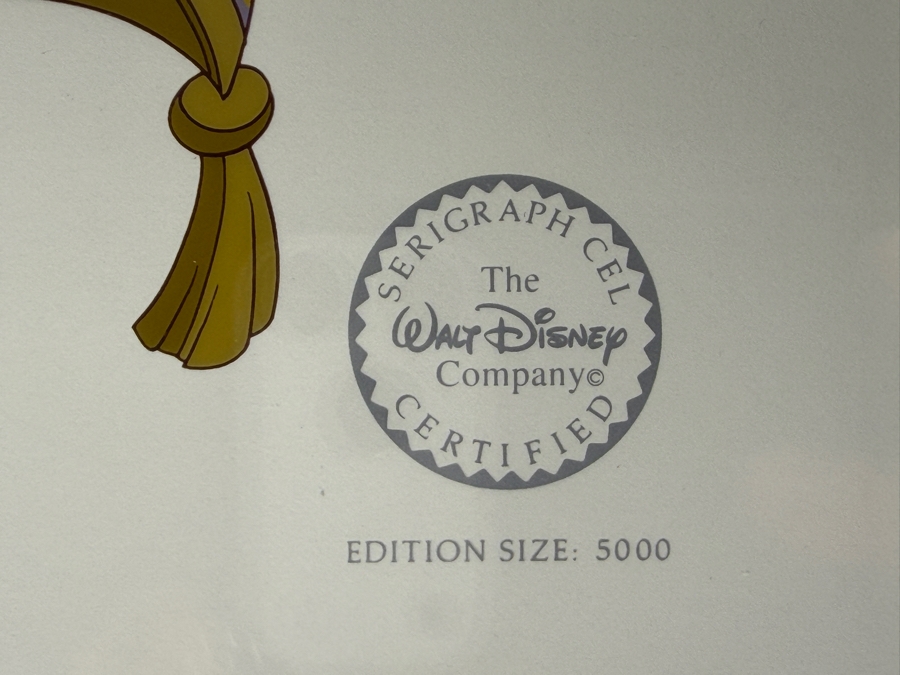 The Walt Disney Company 'Aladdin' Limited Edition Serigraph Cel 13 X 10 Framed 20 X 17.5 [Photo 6]