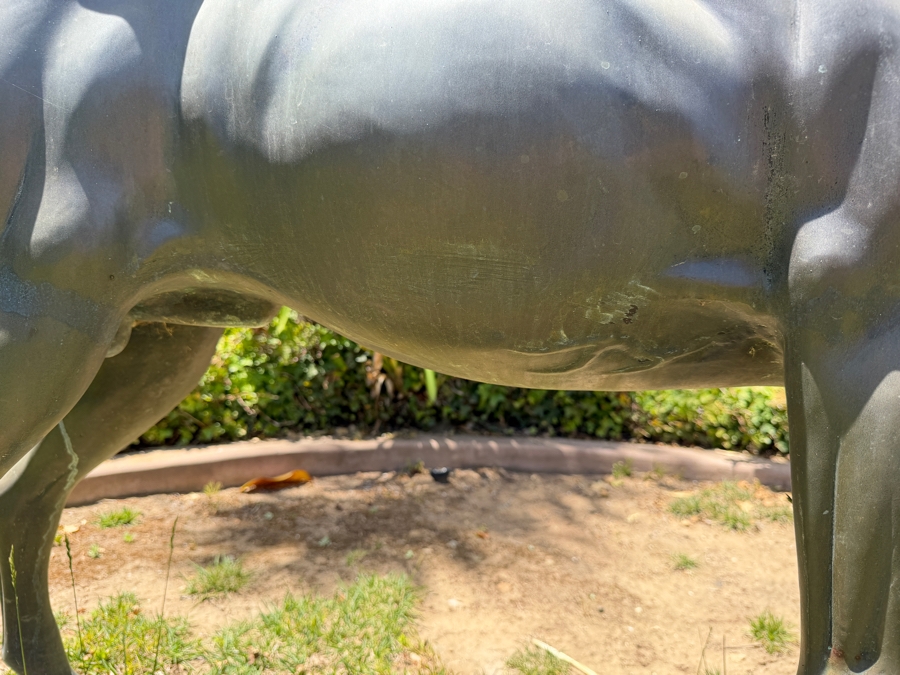Bronze Quarter Horse Statue 66'L X 43'H [Photo 8]
