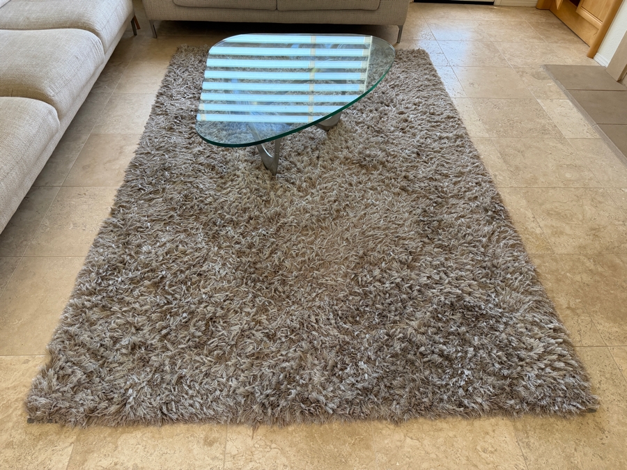 Shag Area Rug [Photo 5]