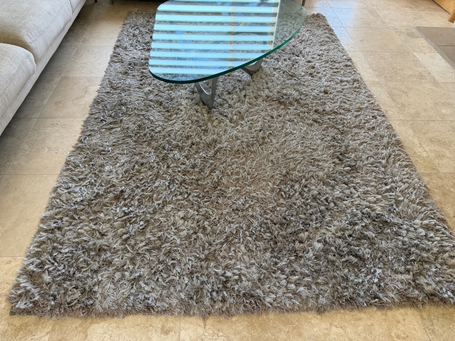 Shag Area Rug [Photo 2]