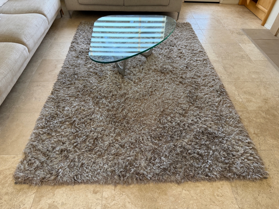 Shag Area Rug