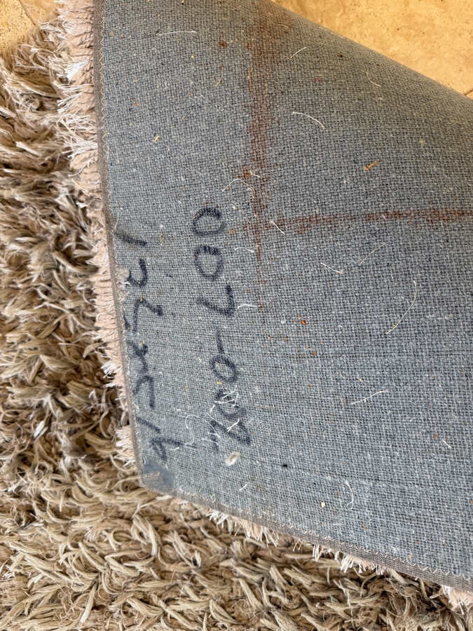 Shag Area Rug [Photo 4]