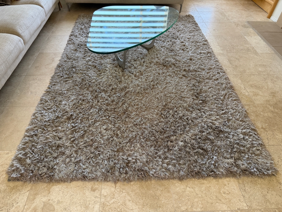 Shag Area Rug [Photo 3]