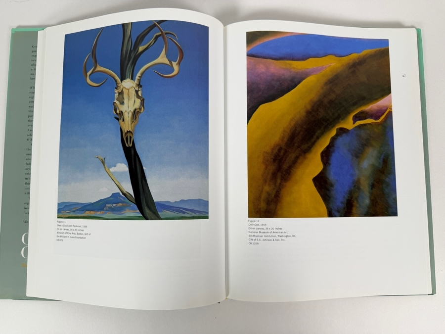 O'Keeffe's O'Keffes: The Artist's Collection Hardcover Book Published By Thames & Hudson [Photo 5]