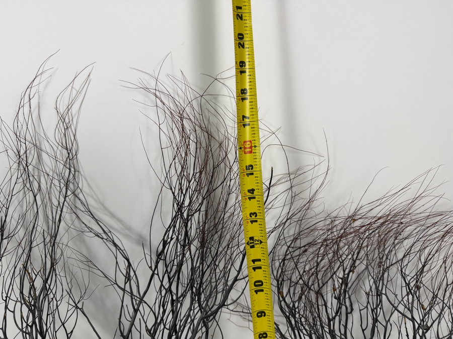Vintage Natural Black Sea Whip Tree Coral Gorgonian Branch Specimen Decor Pair, 15' - 20'H [Photo 5]