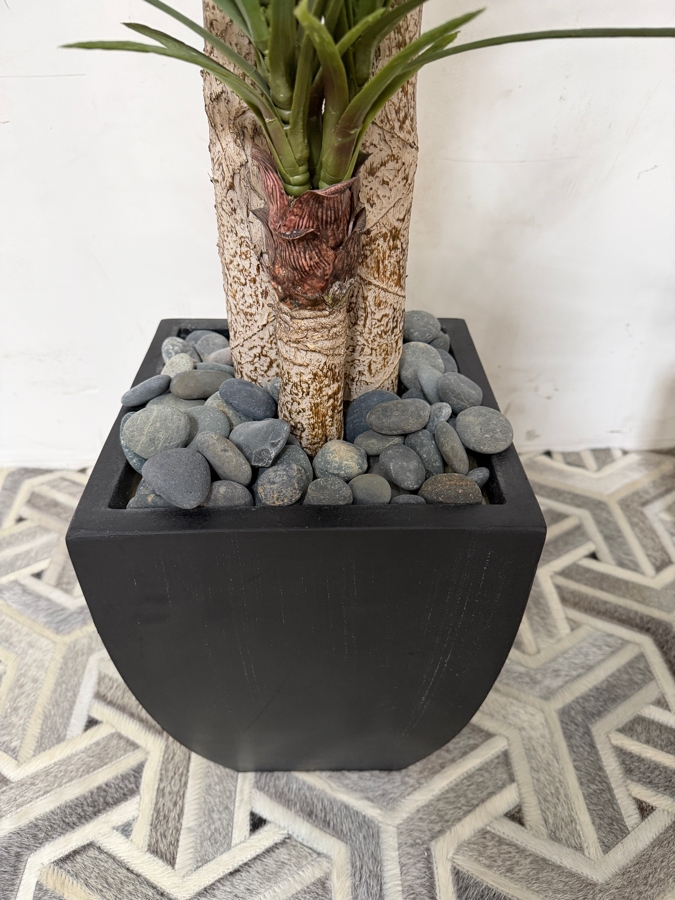 Artificial Dracaena Marginata Dragon Trees Pair, Faux Three Trunk Tropical Indoor Plants With Decorative Gray River Rock Accent Fill In Square Tapered Matte Black Floor Planters, 66'H [Photo 2]