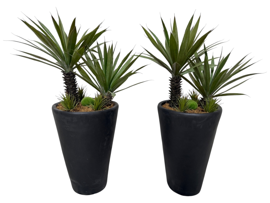 Artificial Double Trunk Yucca Agave Trees Pair, Faux Desert Plants With Faux Moss Balls And Groundcover Accents In Tall Tapered Cylindrical Matte Black Contemporary Floor Planters, 45'H