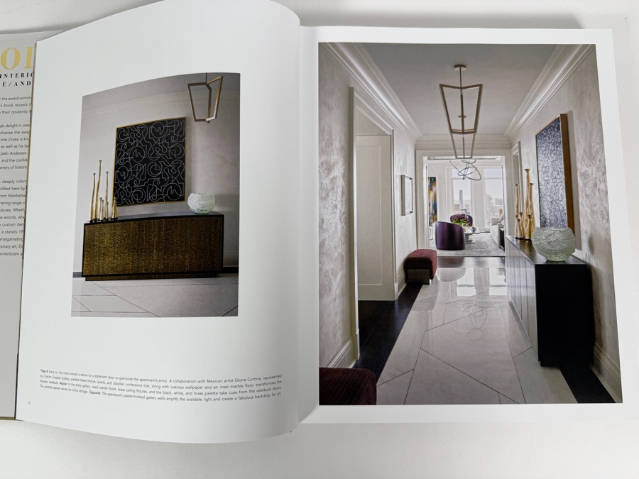 Bold: The Interiors Of Drake/Anderson Hardcover Book By Jamie Drake, Caleb Anderson, And Judith Nasatir, Rizzoli New York Publishing Retail $60 [Photo 6]