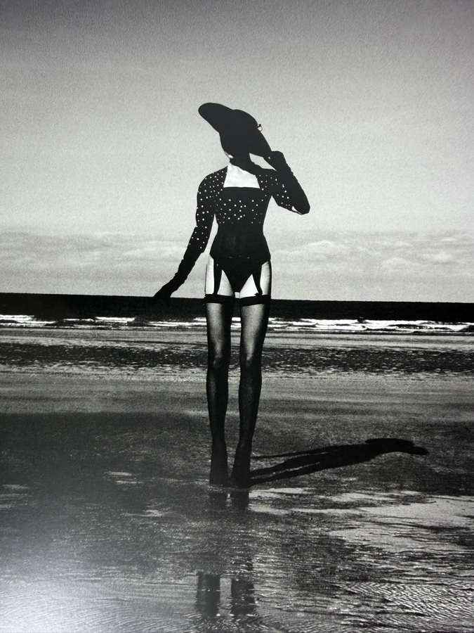 Dior Couture Hardcover Fashion Photography Book By Patrick Demarchelier, Rizzoli New York Luxury Coffee Table Book [Photo 9]