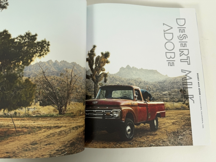 Oasis: Modern Desert Homes Around the World Hardcover Architecture Book By iO Tillett Wright, Clarkson Potter Coffee Table Book [Photo 4]