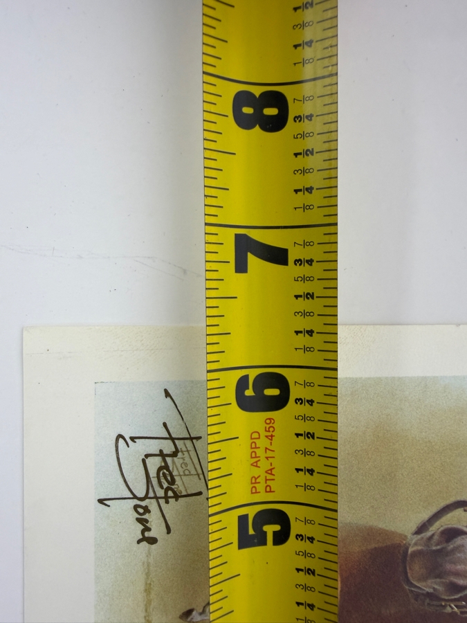 (3) Autographed Fred Stone Horse With Jockey Prints 5.5-6'W [Photo 9]
