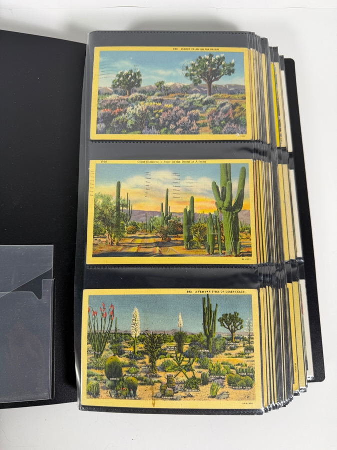 Collection Of (334) Vintage Postcards - See Photos [Photo 2]