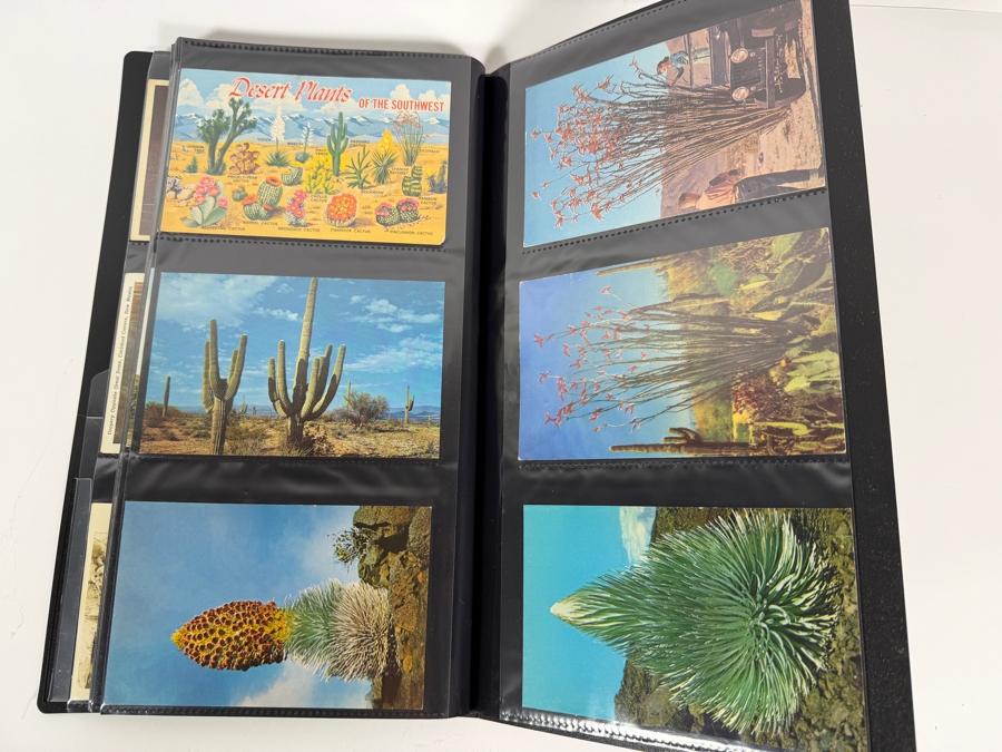 Collection Of (115) Vintage Postcards Mainly Of Caves, Deserts & Flowers - See Photos [Photo 20]