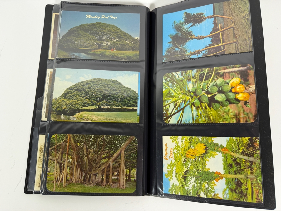 Collection Of (115) Vintage Postcards Mainly Of Caves, Deserts & Flowers - See Photos [Photo 19]