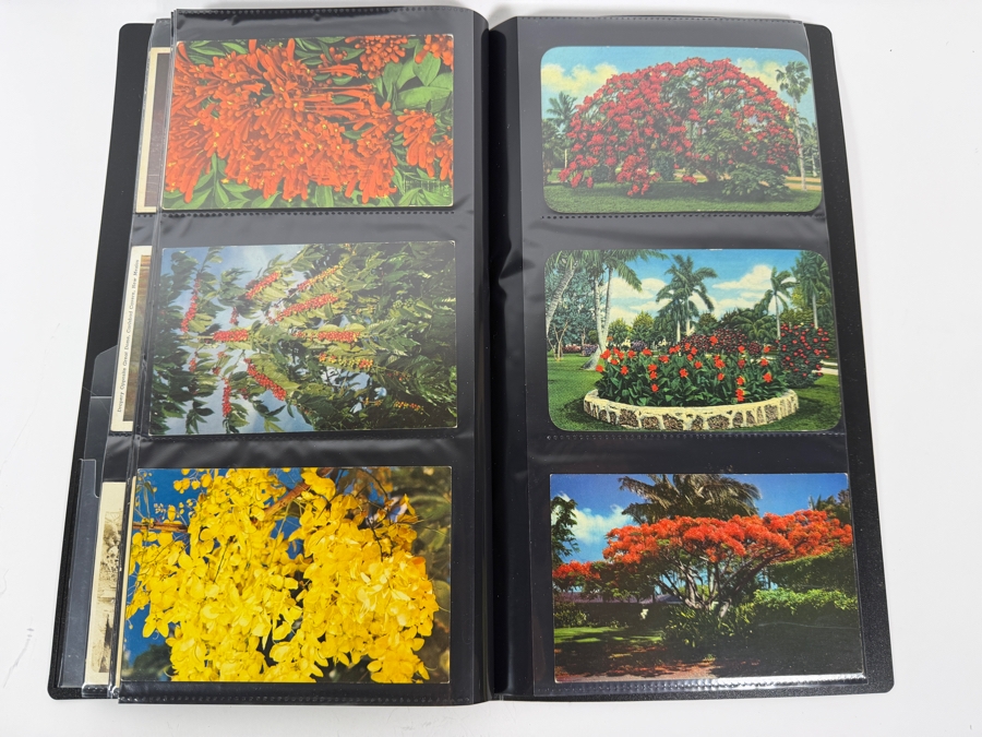 Collection Of (115) Vintage Postcards Mainly Of Caves, Deserts & Flowers - See Photos [Photo 16]