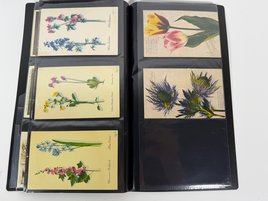Collection Of (115) Vintage Postcards Mainly Of Caves, Deserts & Flowers - See Photos [Photo 15]