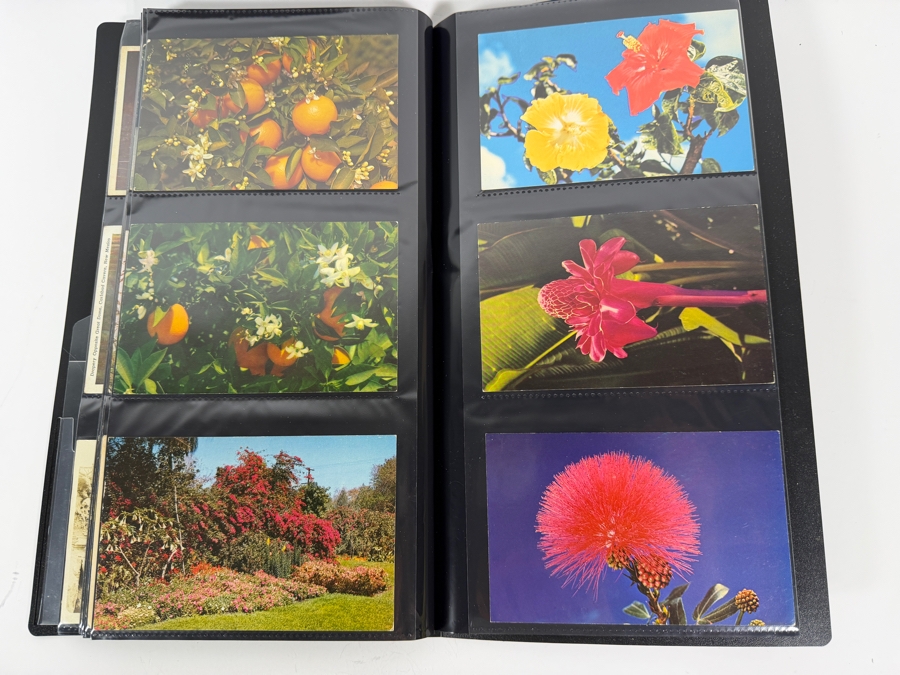 Collection Of (115) Vintage Postcards Mainly Of Caves, Deserts & Flowers - See Photos [Photo 18]
