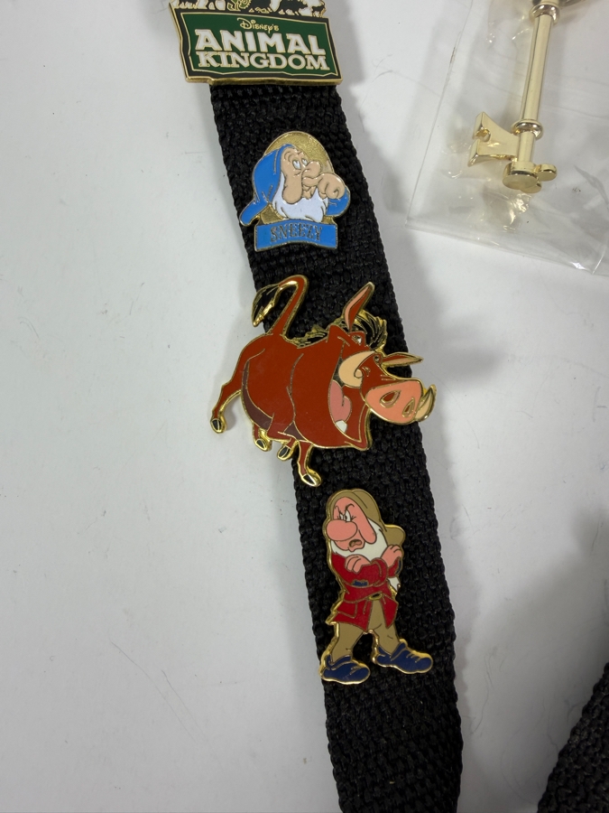Collection Of Disney Trading Pins With Lanyard And New D23 Keychain [Photo 2]