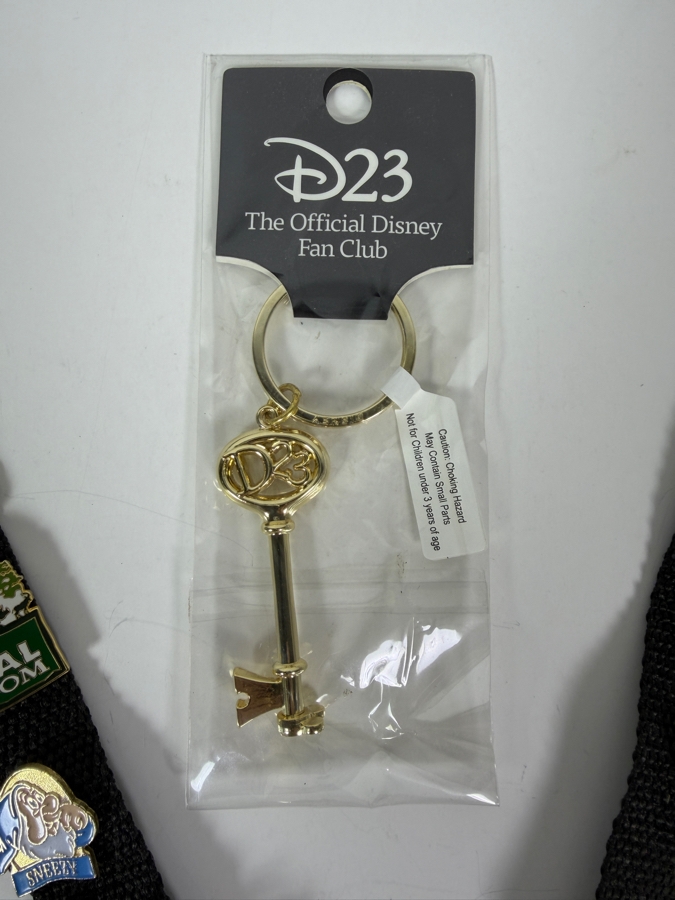 Collection Of Disney Trading Pins With Lanyard And New D23 Keychain [Photo 7]