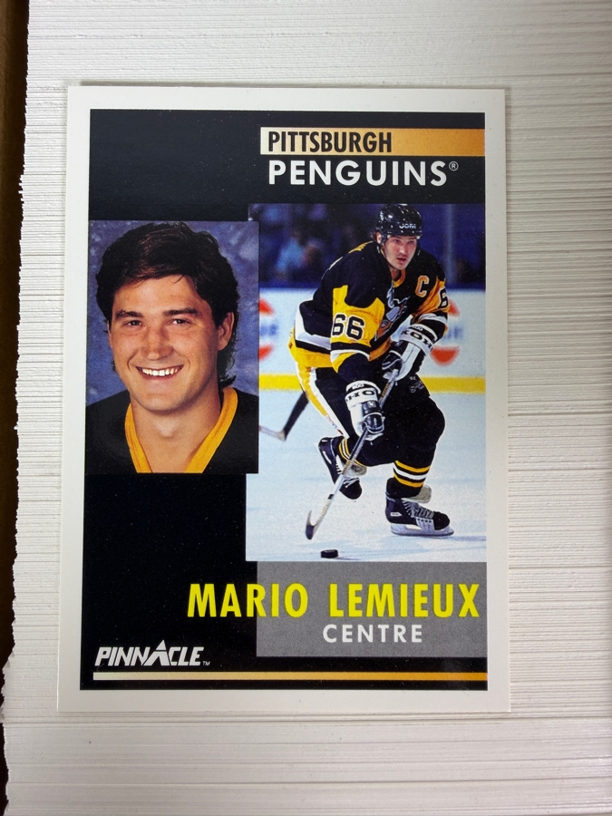 1991-92 French Pinnacle NHL Professional Hockey Trading Cards Including Eric Lindros & Mario Lemieux [Photo 7]