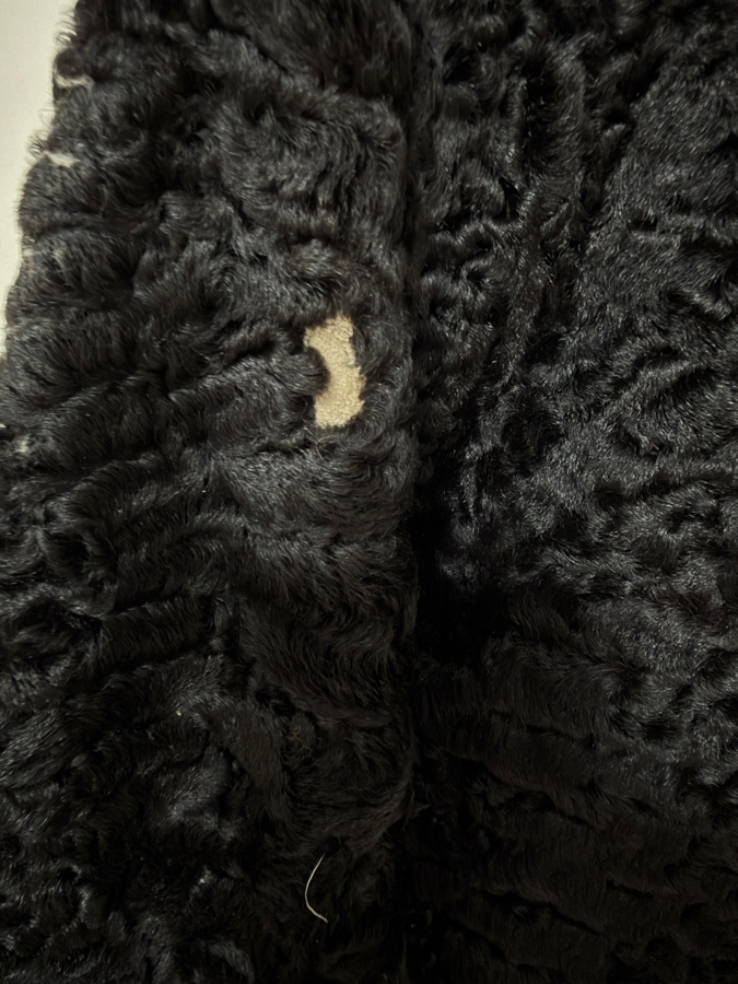 Vintage Sorbara Curly Persian Lamb Fur Coat - Inside Arm Length 16' - Outside Arm Length 24' - Coat Length 37' [Photo 4]