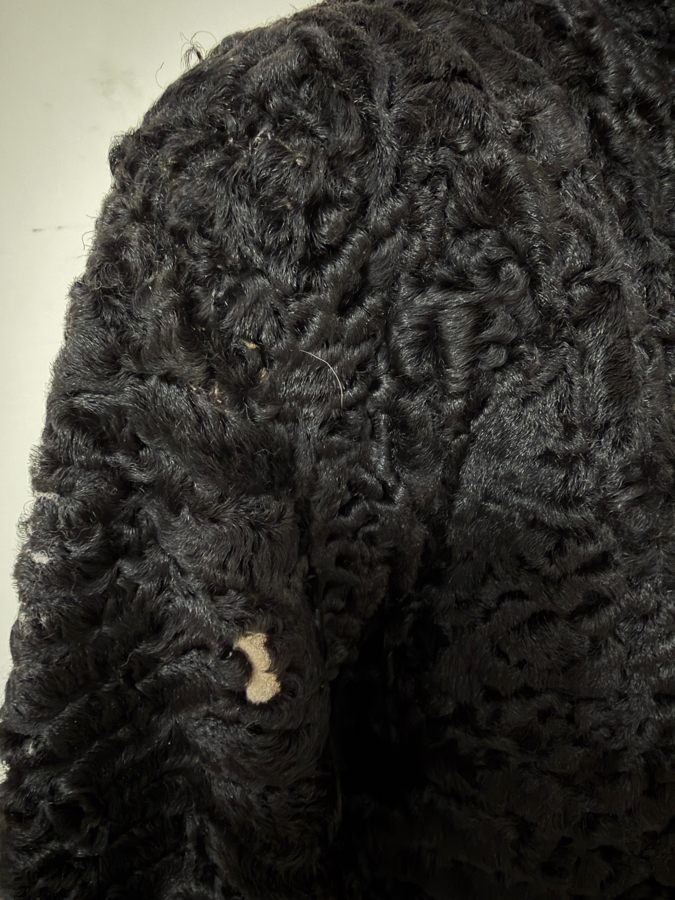 Vintage Sorbara Curly Persian Lamb Fur Coat - Inside Arm Length 16' - Outside Arm Length 24' - Coat Length 37' [Photo 3]