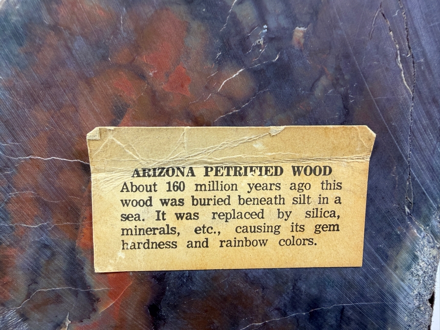 Vintage Multi Color Arizona Polished Natural Petrified Wood Slab Heavy Desktop Bookends Pair Set Of 2 6.5'H [Photo 5]