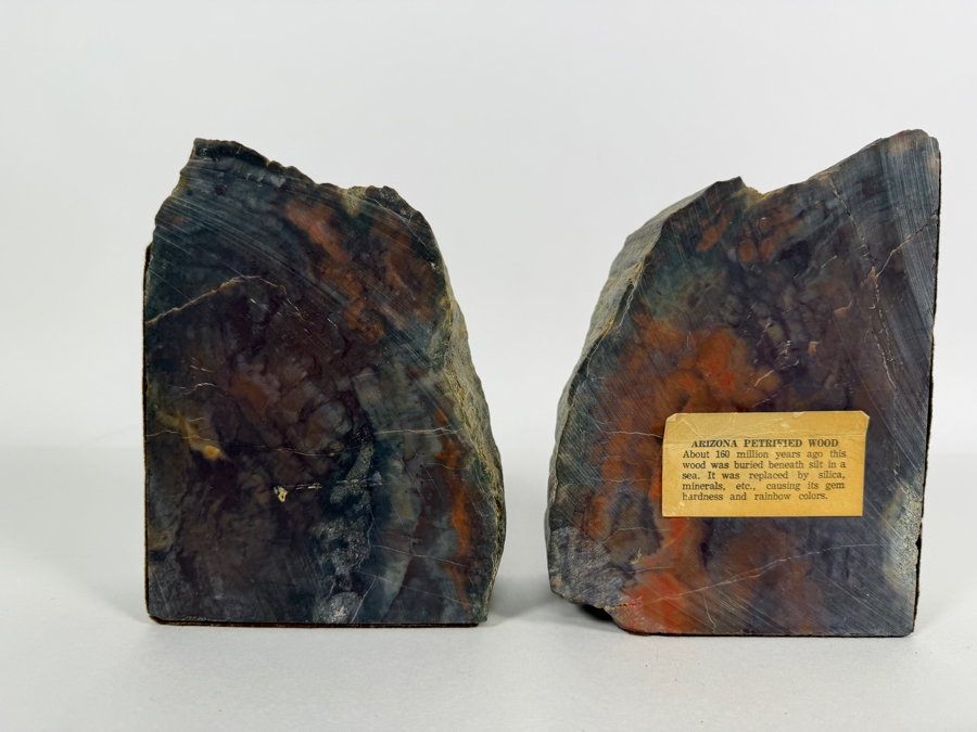Vintage Multi Color Arizona Polished Natural Petrified Wood Slab Heavy Desktop Bookends Pair Set Of 2 6.5'H [Photo 4]