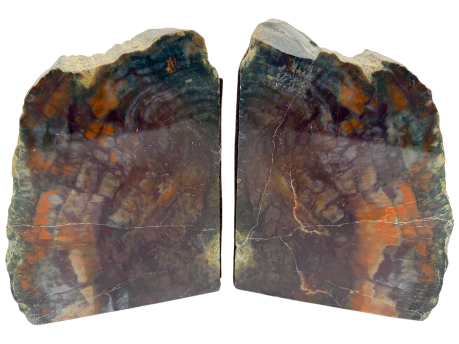 Vintage Multi Color Arizona Polished Natural Petrified Wood Slab Heavy Desktop Bookends Pair Set Of 2 6.5'H