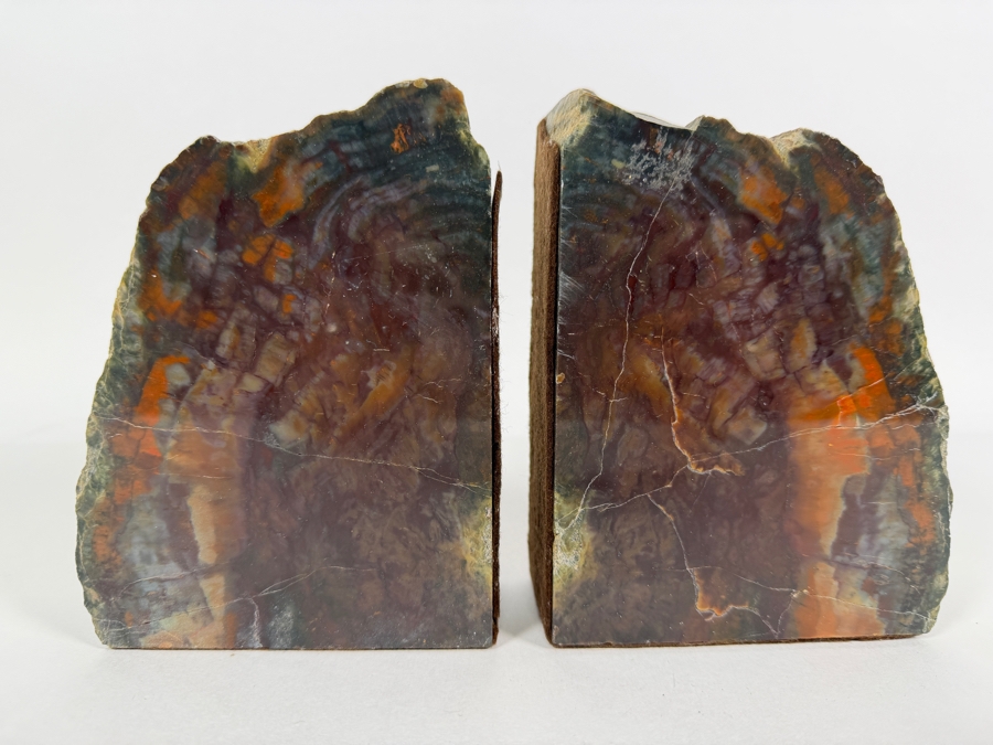 Vintage Multi Color Arizona Polished Natural Petrified Wood Slab Heavy Desktop Bookends Pair Set Of 2 6.5'H [Photo 2]