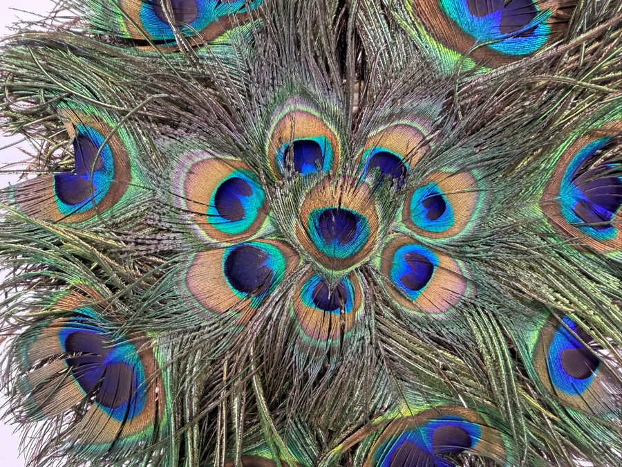 Vintage Chinese Natural Peacock Feather Mandala Hand Fan On Openwork Carved Footed Wood Display Stand 16'H [Photo 6]