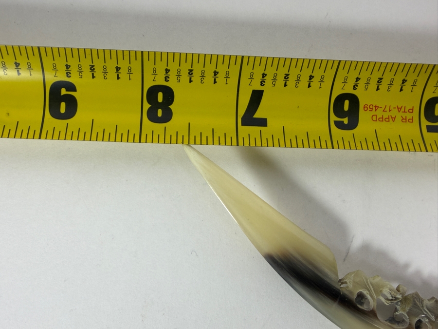 Vintage Genuine Green Malachite Handle Open Work Carved Natural Steer Horn Letter Opener Desk Knife 7.5'L [Photo 3]