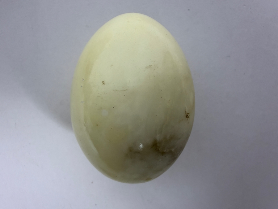 (8) Polished Egg-shaped Stones - See Photos [Photo 12]