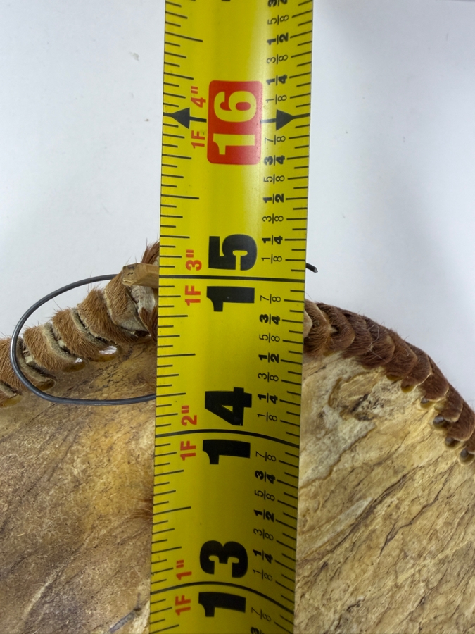 Vintage East African Maasai Warrior's Shield 15'W With Carved Wooden Club 18'L [Photo 8]