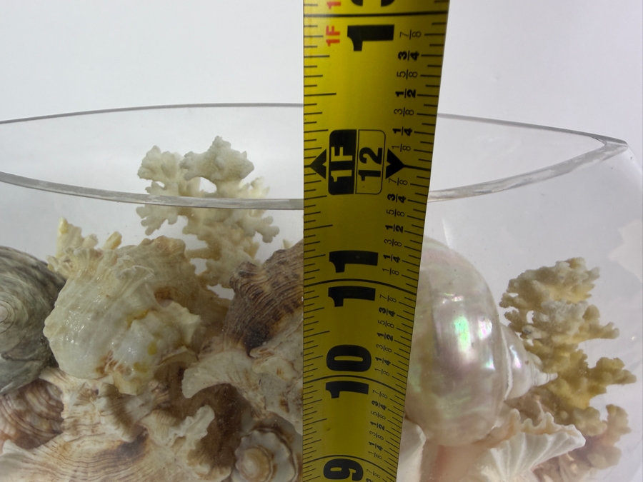Just Added - Large Collection Of Mixed Decorative Seashells Corals And Starfish In Round Glass Bowl 11.5'H [Photo 15]