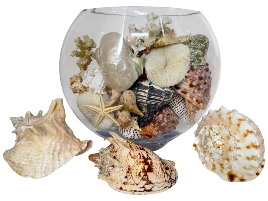 Just Added - Large Collection Of Mixed Decorative Seashells Corals And Starfish In Round Glass Bowl 11.5'H