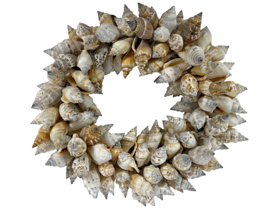 Vintage Organic Seashell Wreath 10'W
