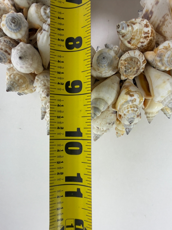 Vintage Organic Seashell Wreath 10'W [Photo 4]