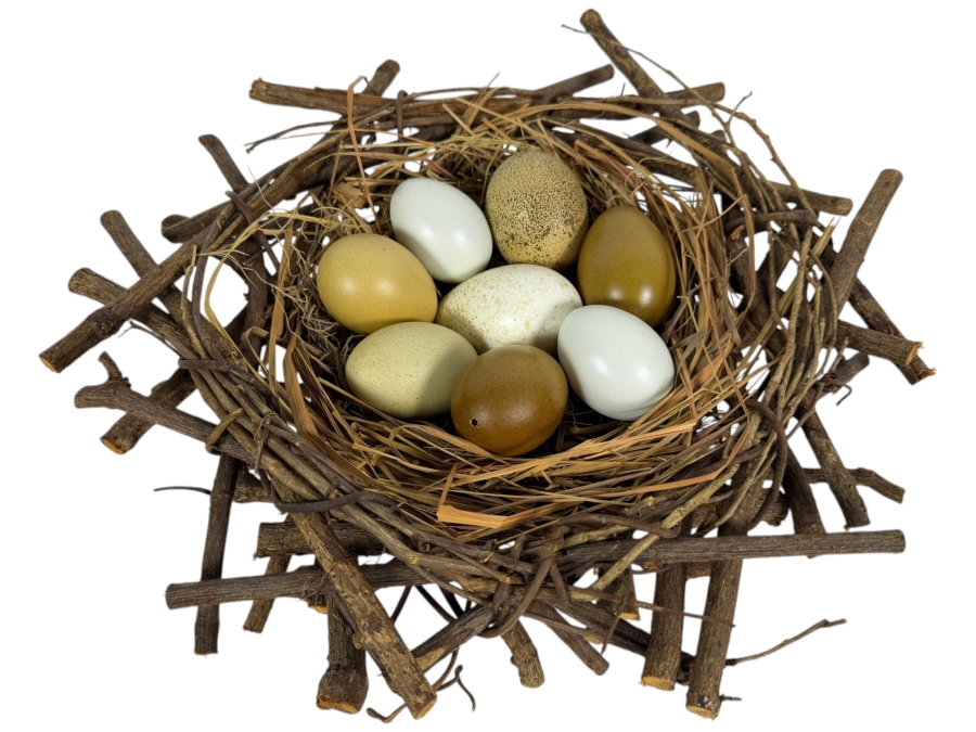 Decorative Twig Bird Nest With Eggs 14W X 5H
