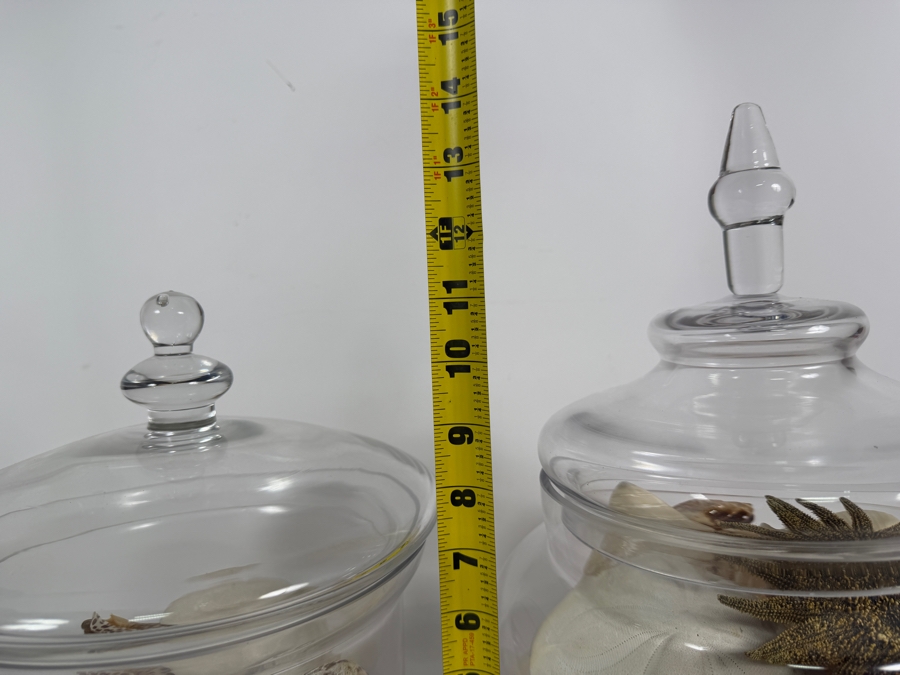 Pair Of Apothecary Jars Filled With Organic Seashells And Coral 11H and 13.5H [Photo 10]