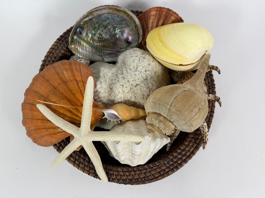 Woven Bowl Filled With Organic Seashells And Coral 14W [Photo 2]