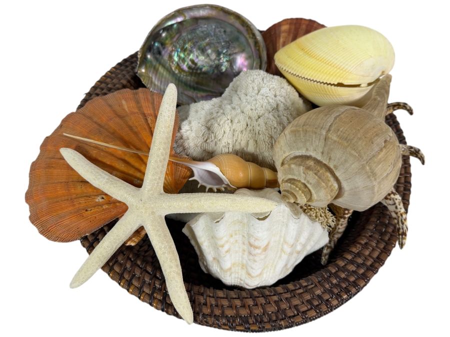 Woven Bowl Filled With Organic Seashells And Coral 14W