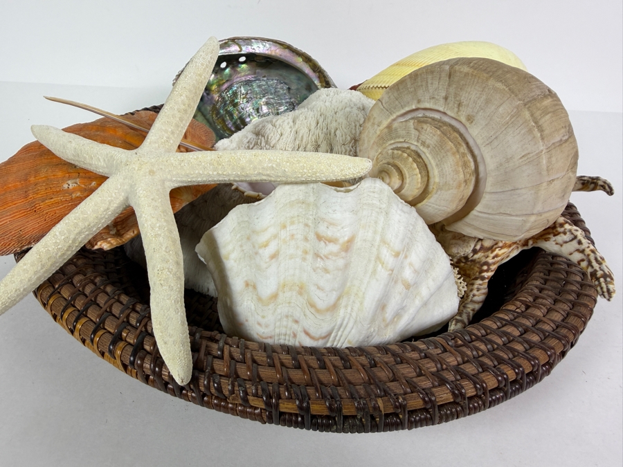 Woven Bowl Filled With Organic Seashells And Coral 14W [Photo 7]