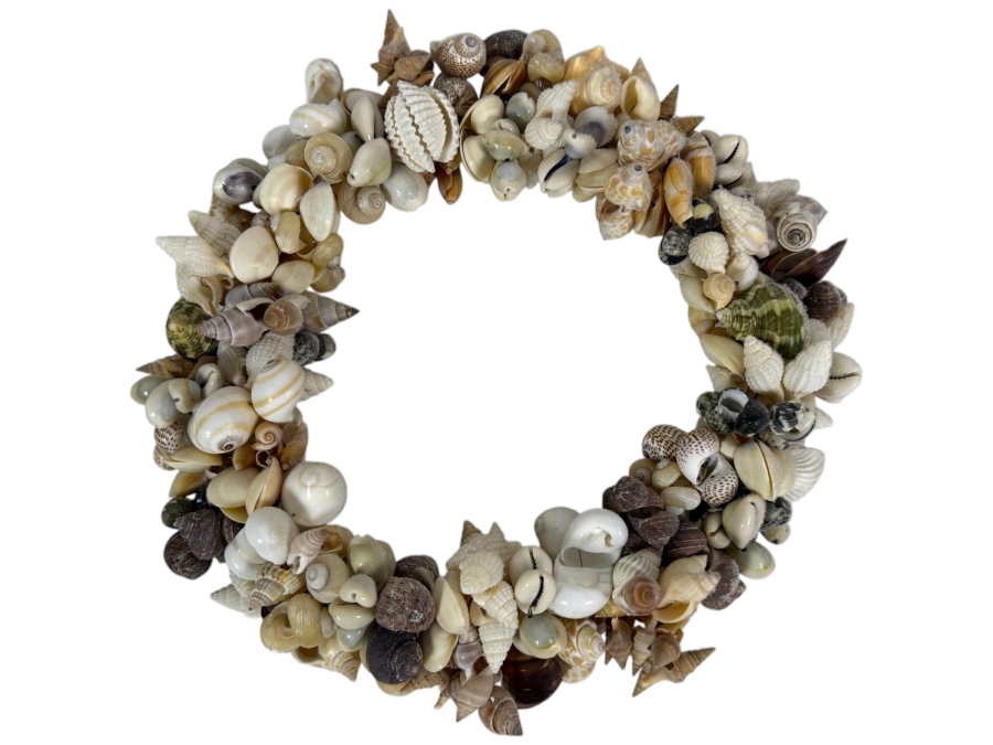 Organic Seashell Wreath 12W