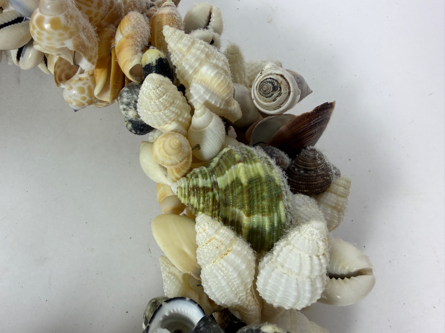 Organic Seashell Wreath 12W [Photo 4]