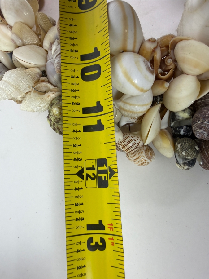 Organic Seashell Wreath 12W [Photo 5]