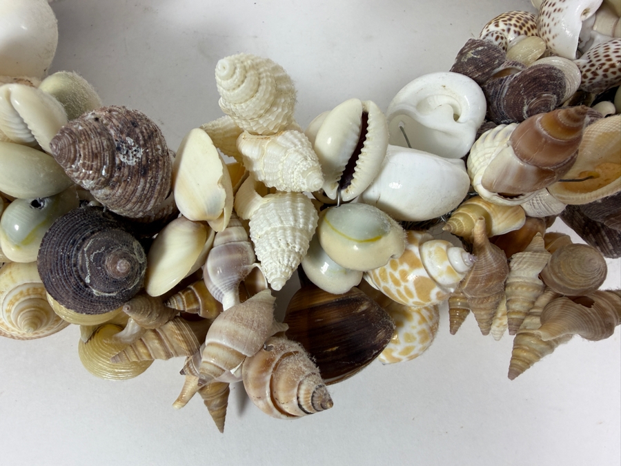 Organic Seashell Wreath 12W [Photo 3]